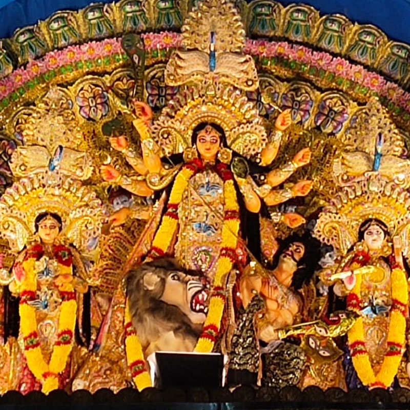 সুব্রত সংঘ * শিলিগুড়ি, পশ্চিমবঙ্গ