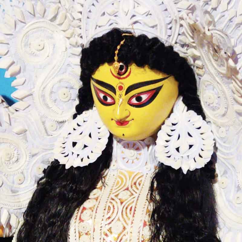 গ্রীন উড পার্ক * কলকাতা, পশ্চিমবঙ্গ