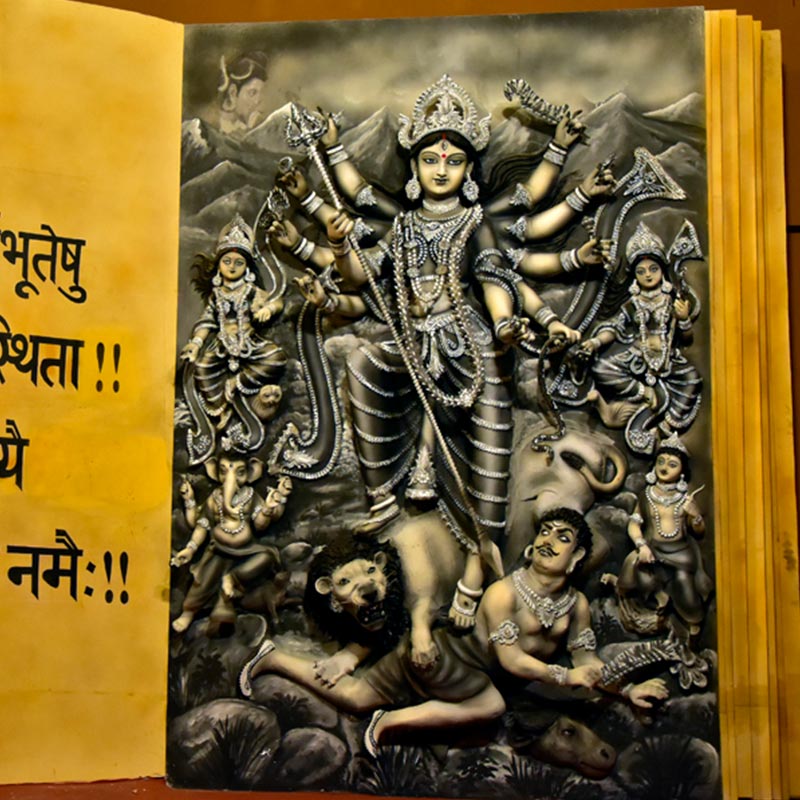 বাবুবাগান সর্বজনীন দুর্গোৎসব * কলকাতা, পশ্চিমবঙ্গ